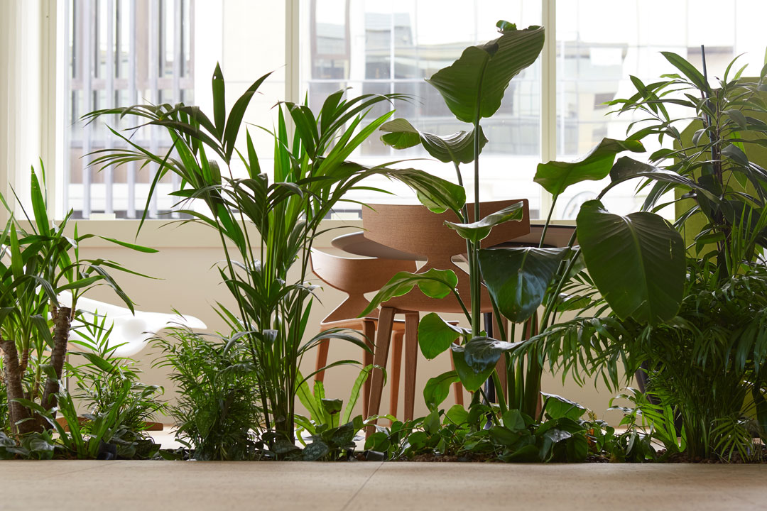 Contract Ufficio UfficiN